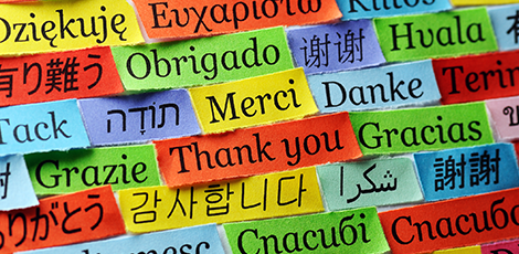 An infographic of the phrase thank you written in various languages