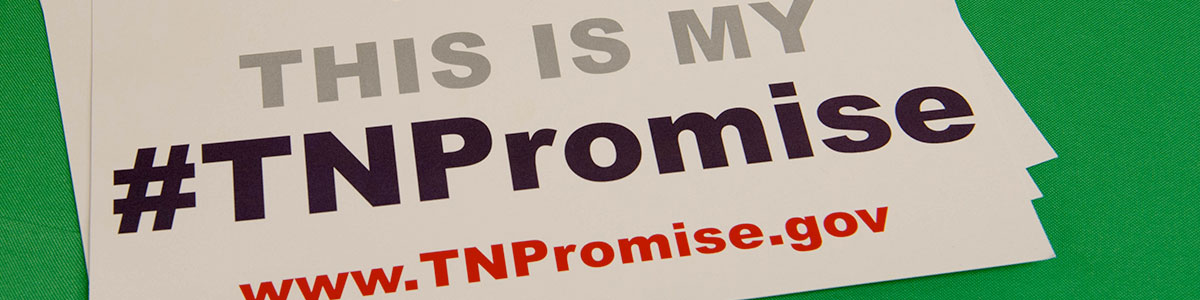 Words This is my TN Promise
